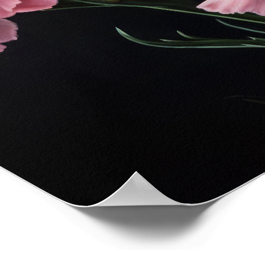 Oeillets roses Fleur Art Imprimer Poster (Coin)