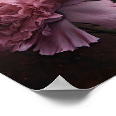 Oeillets roses Fleur Art Imprimer Poster (Coin)