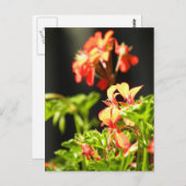 Oekraïense bloemen briefkaart (Voorkant / Achterkant)