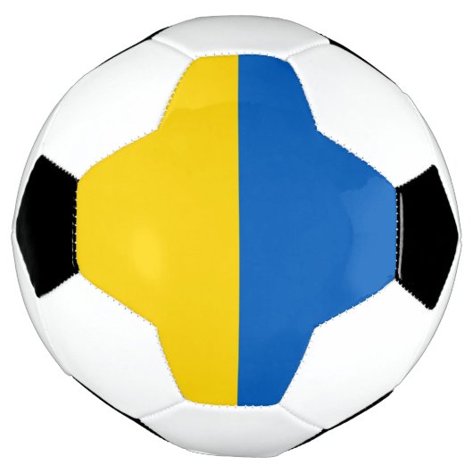 Oekraïense vlag voetbal (Gedraaid)