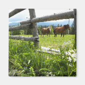 Oekraïne: in de Karpaten Magneet (Voorkant)