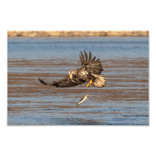 Oeps, laat vallen. foto afdruk