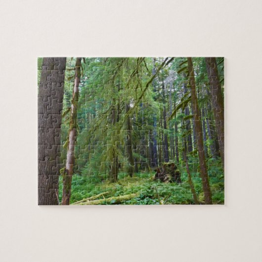 Oerbos Legpuzzel (Horizontaal)