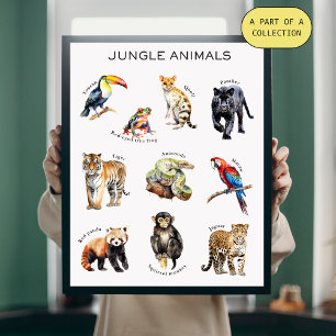 Oerwoud Animals Educational Poster Perfect Poster