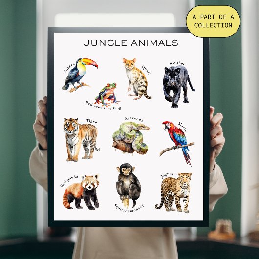 Oerwoud Animals Educational Poster Perfect Poster