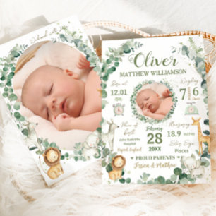 Oerwoud Dieren Baby Geboortestatistieken Foto Aank