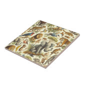 Oerwoud Dieren Waterverf Tegeltje (Zijkant)