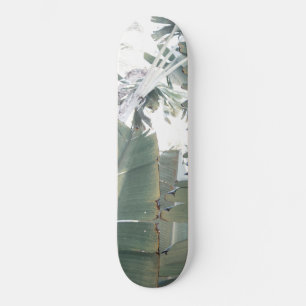 Oerwoud Finesse #1 #tropische #wand #art Skateboard