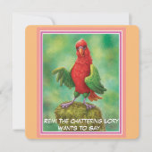 Oerwoud fluistert van bemoediging serie platte Kaa (Voorkant)