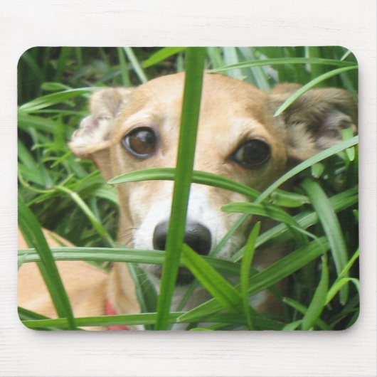 Oerwoud Iggy Muismat (Voorkant)