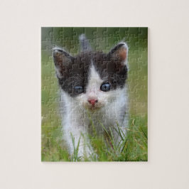 Oerwoud Kat Legpuzzel