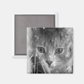 Oerwoud Legend B&W Magneet (Voorkant / Achterkant)