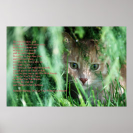 Oerwoud Legend Poster