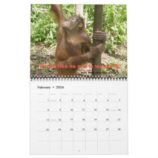 Oerwoud Lessen Kalender (Feb 2026)