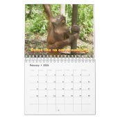 Oerwoud Lessons-kalender voor wilde dieren Kalender (Feb 2026)