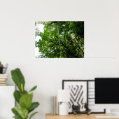 Oerwoud oproept tropische regenwoufotografie poster (Thuiskantoor)