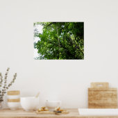 Oerwoud oproept tropische regenwoufotografie poster (Keuken)