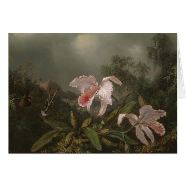 Oerwoud Orchideeën en levende vogels (Voorkant Horizontaal)