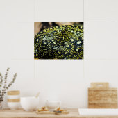 Oerwoud tapijt Python Snake Poster (Keuken)