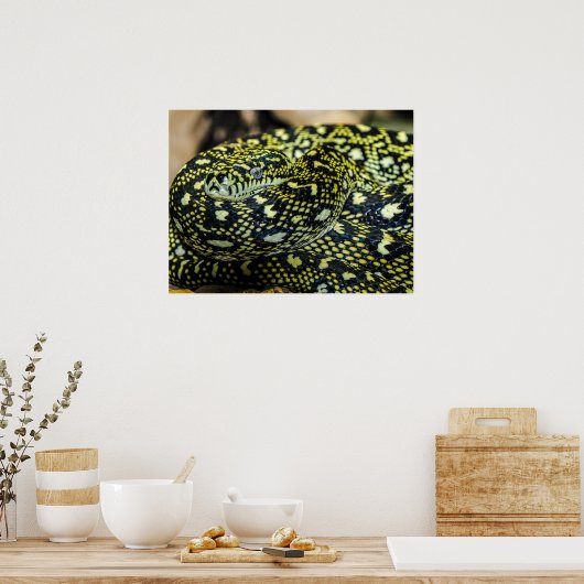 Oerwoud tapijt Python Snake Poster (Keuken)