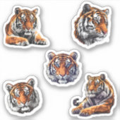 oerwoud Tijgers sticker Pack (Voorkant)