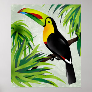 Oerwoud Toucan Poster