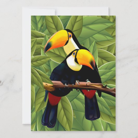 Oerwoud Toucans Weddenschap Kaart (Achterkant)