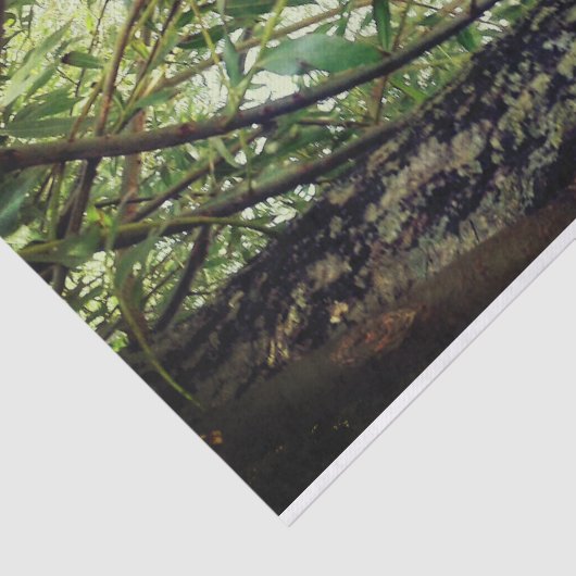 Oerwoud Trees Tissuepapier (Detail)