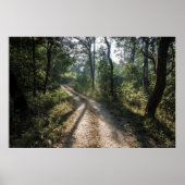 Oerwoud van Chitwan: Sunlit Forest Trail Poster (Voorkant)