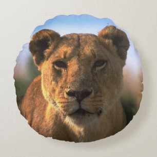 Oerwoud van Lioness Lovers Rond Kussen