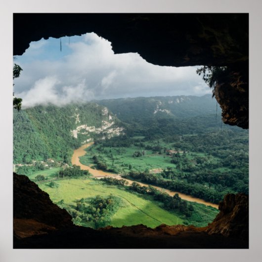 Oerwoud venster poster (Voorkant)