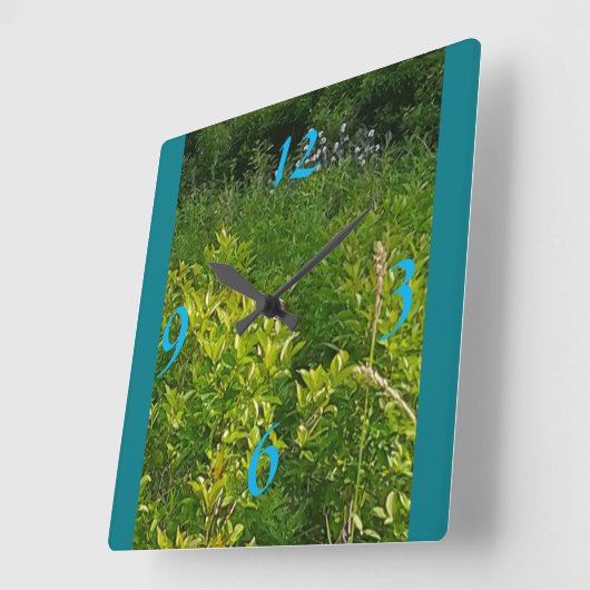 Oerwoud Vierkante Klok (Hoek)