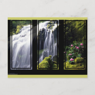 Oerwoud Waterfall Triptych Digital Art Briefkaart