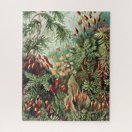 Oerwoud Wilderness Puzzle Legpuzzel (Verticaal)