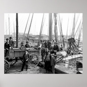 Oesters lossen poster