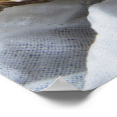 Oesters op ijs poster (Hoek)