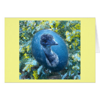 Oeuf Emu, Faune