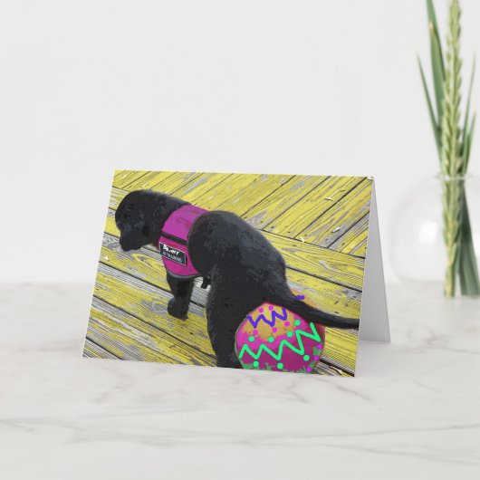 OEuf Laying Carte Pâques (Devant)