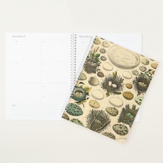 OEuf vintage Nid Art Peinture OEufs (Devant avec enveloppe)