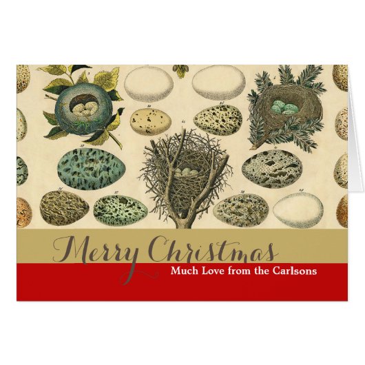 OEuf vintage Nid Art Peinture OEufs (Devant horizontal)