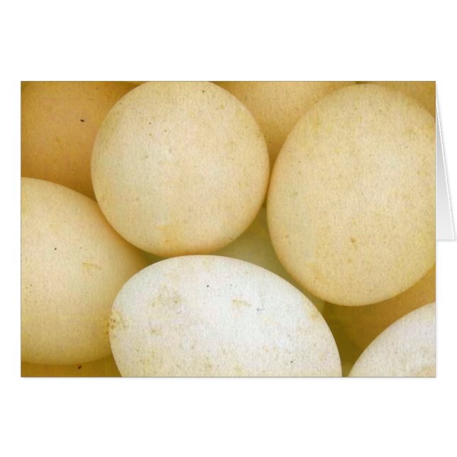 Oeufs (Devant horizontal)