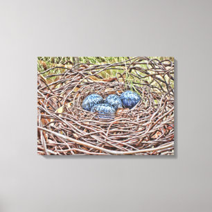 Oeufs Bleus En Toile Enveloppée Dans Le Nid