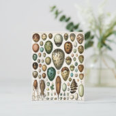 Oeufs Briefkaart (Staand voorkant)