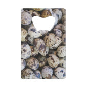 Oeufs de caille (Devant)