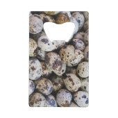 Oeufs de caille (Dos)