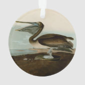 Œuvre d'art de Pélican Brun de John James Audubon (dos)