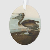Œuvre d'art de Pélican Brun de John James Audubon (devant)
