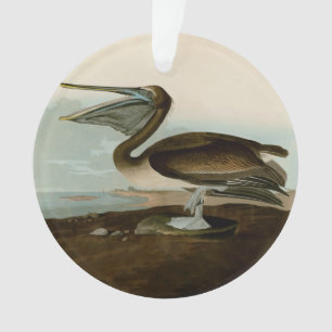 Œuvre d'art de Pélican Brun de John James Audubon