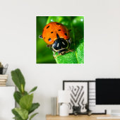 Œuvre d'art murale coccinelle | Impression macro n (Bureau à domicile)