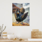 Œuvre d'art murale Cormoran | Impression d'oiseau (Cuisine)